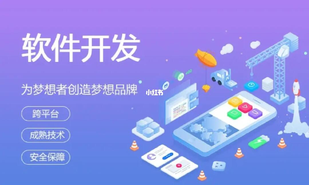 軟件開發與軟件定制 從概念到實踐