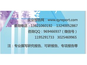 2017-2023年雙飛人藥水市場(chǎng)營銷模式分析與投資商機(jī)報(bào)告